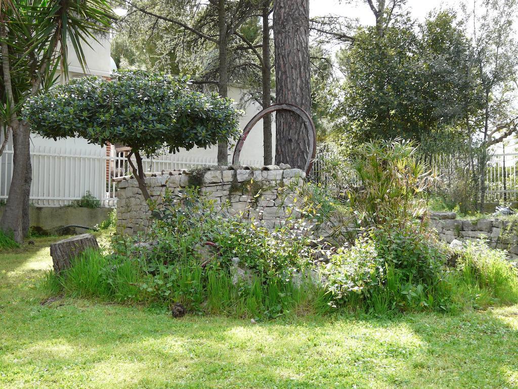 B&B Villa Garden Bisceglie Exterior photo